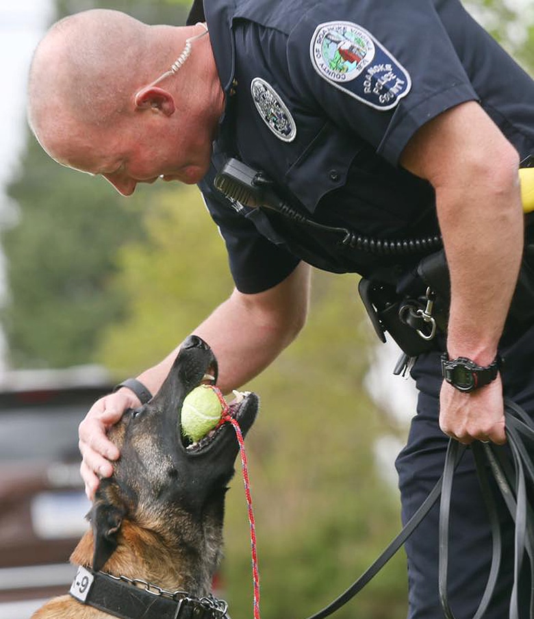 Program Gives Stray Dogs a Second Chance by Turning Them Into Police K9 Rock Stars