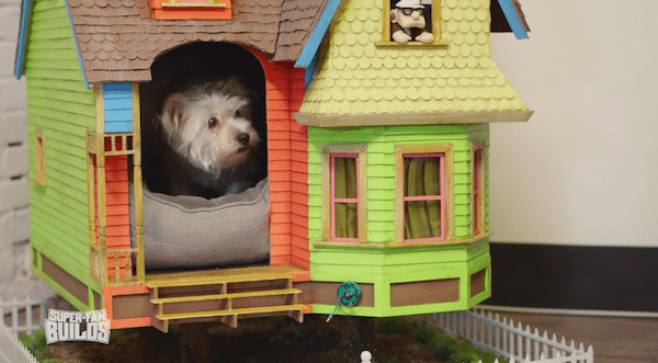 In a scene reminiscent of the UP movie, a small dog is contently sitting in a toy dog house.