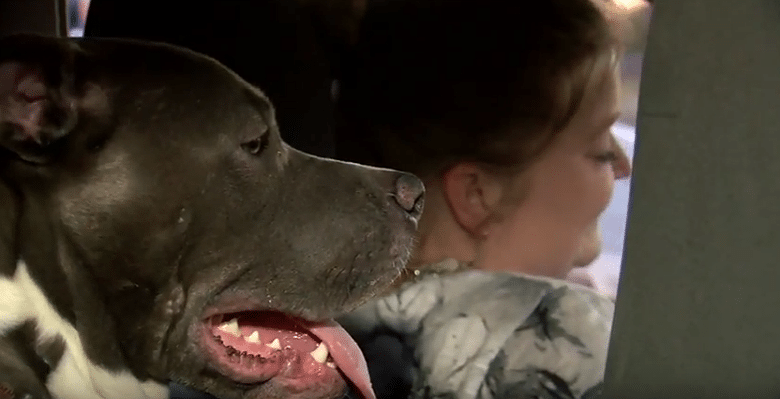 Uber Driver Adopts Dog Left in Car