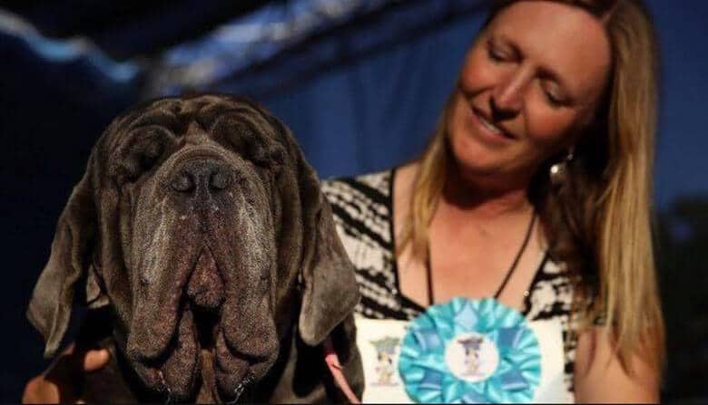 Winner of World's Ugliest Dog Contest, Shows True Inner Beauty of Rescue Dogs