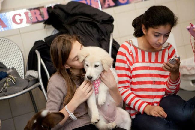 A group of girls are cradling an unleashed puppy in their laps.