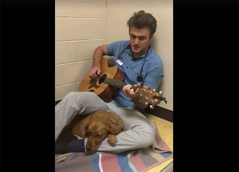 A man serenades a scared dog in a hospital room.