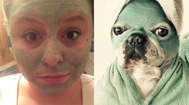 ‘You Are Dog Now’ Matches Your Selfie Picture With a Dog Doppelganger