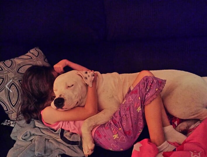 After Village Enacts Pit Bull Ban, Family Tries to Save Family Dog