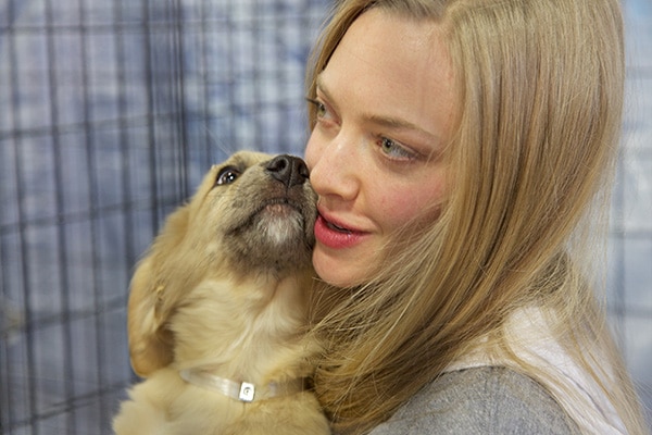 A woman showing affection to a dog in a cage, emphasizing the bond between human and animal.