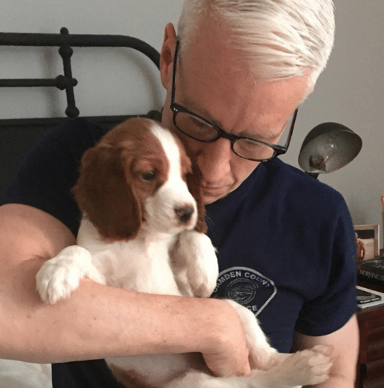 Anderson Cooper holding an adorable new puppy on a bed.