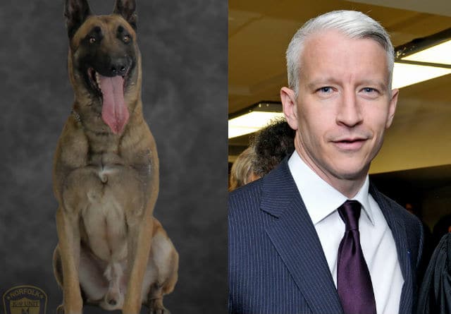 A picture of a dog and a man in a suit, representing the Police Department's K9 Unit as they protect and serve.