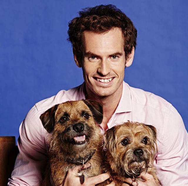 A man in a pink shirt holding two dogs, named Andy and Murray.