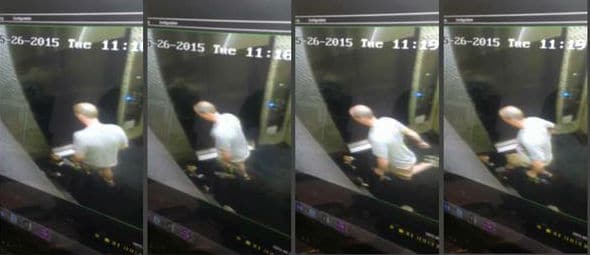 Chicago Man Seen Kicking Beagle in Elevator Charged With Animal Cruelty