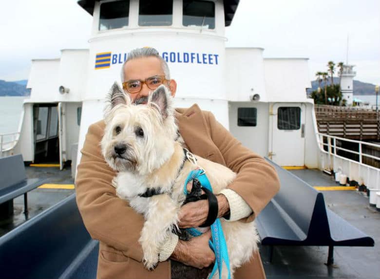 A man holding a dog on a Blue and Gold Fleet ferry with views of the Bay in San Francisco.