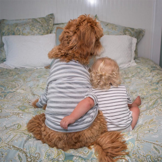 Adorable Dog and Foster Boy Pose Together in Identical Outfits — And the Internet Goes Crazy