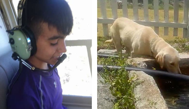 Boy Survives Mexico's Wilderness Thanks to a Loyal Dog