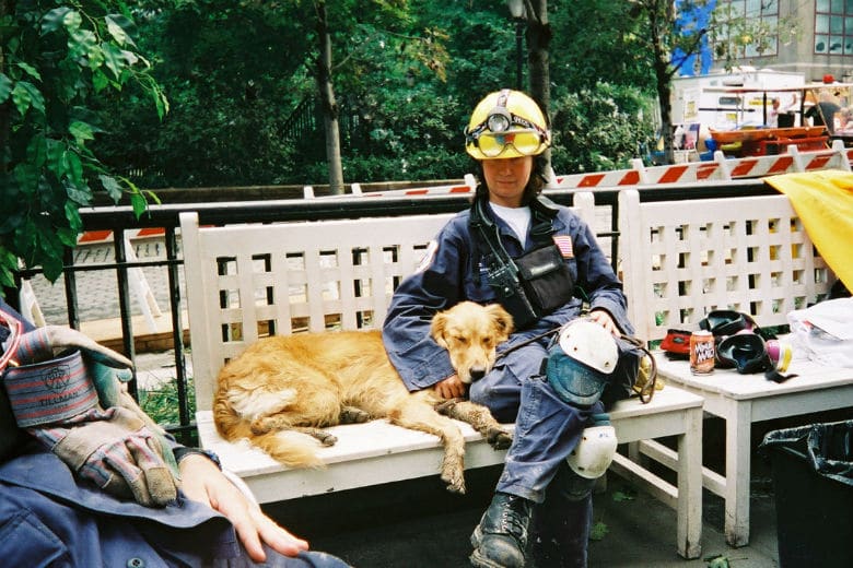 The Last Surviving 9/11 Rescue Dog Has Passed Away