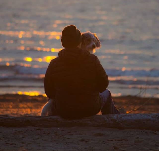 A man and his dog fulfilling their bucket list, sitting on a log at sunset.