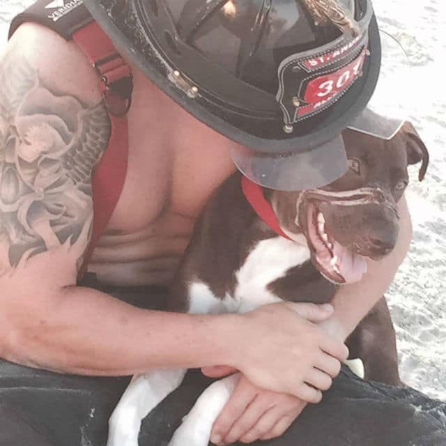 Caitlyn, a man in a firefighter's uniform, holding a dog.