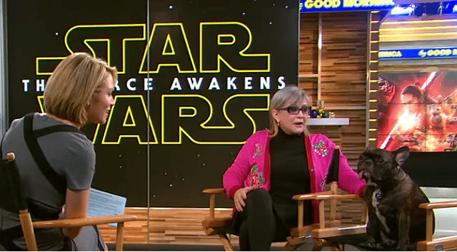 Carrie Fisher's Dog Hints at What Fans Will Think About New Star Wars Movie