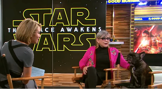 Carrie Fisher’s Dog Hints at What Fans Will Think About New Star Wars Movie