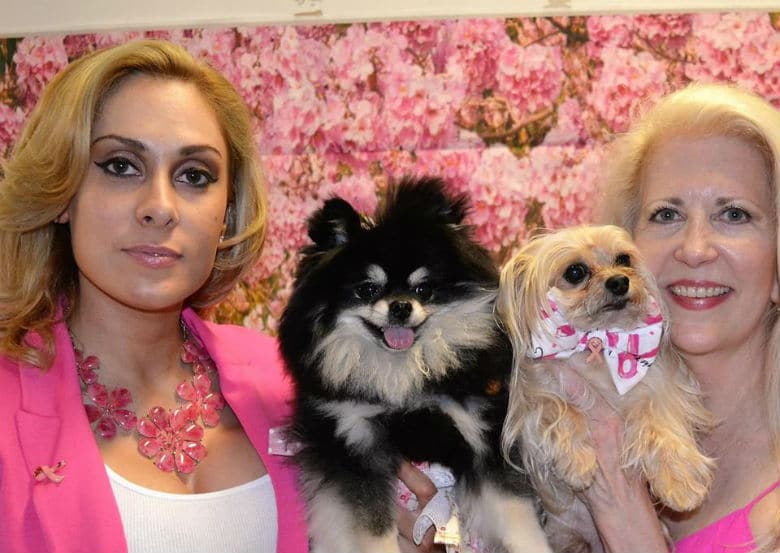 Celebrity Catwalk's 3-Day Dog Event Will Put New Yorkers in the Holiday Spirit