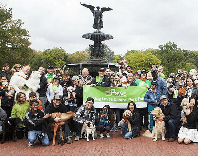 The 'Largest Dog Selfie' is Happening This Saturday in Central Park