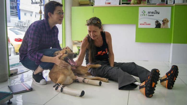 Double Amputee Teaches Dog Without Legs to Walk Again