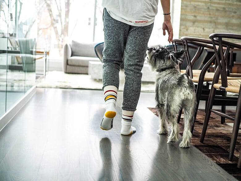 A woman walking her dog in a living room, creating a cozy co-working environment for both.