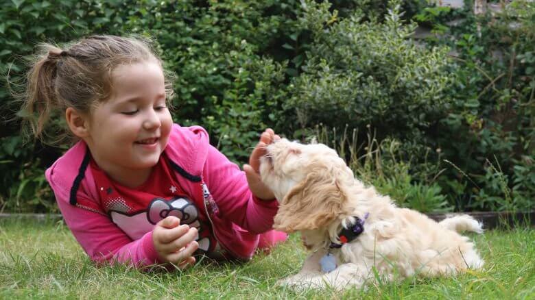 A little girl laying on the grass with a puppy.