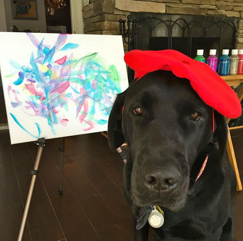 Service Dog Dropout Becomes the Picasso of the Canine World