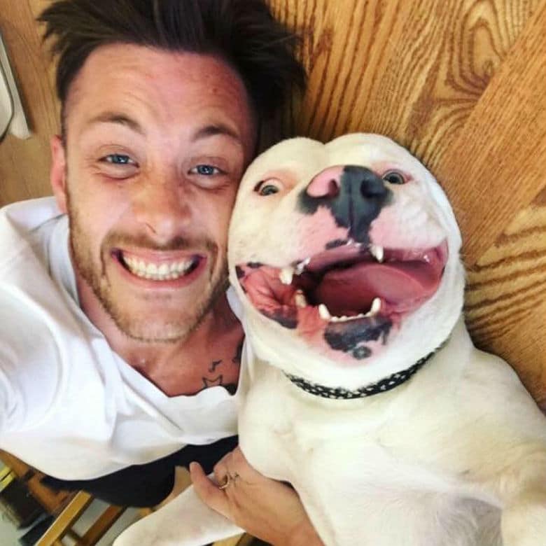 Court Decision Allows Smiling Dog to Stay In His Home