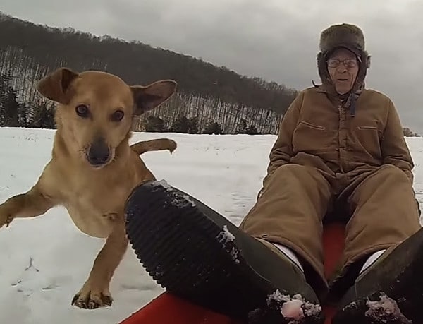 90-Year-Old WWII Vet and Dog Enjoy Sled Ride