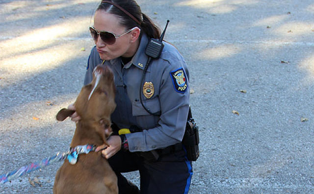 Police Agency Creates Program to Decrease Dogs Shot by Cops