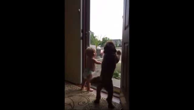 In a heartwarming scene, a playful baby and a friendly dog eagerly await their dad's homecoming by joyfully frolicking together in front of the door.