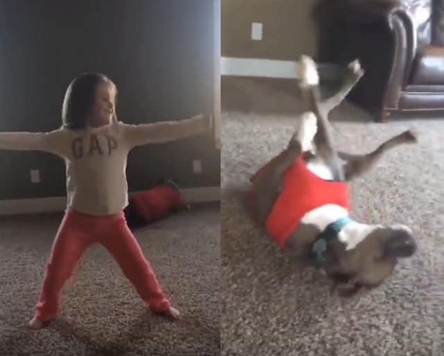 Two pictures of a girl with a pit bull laying on the floor.