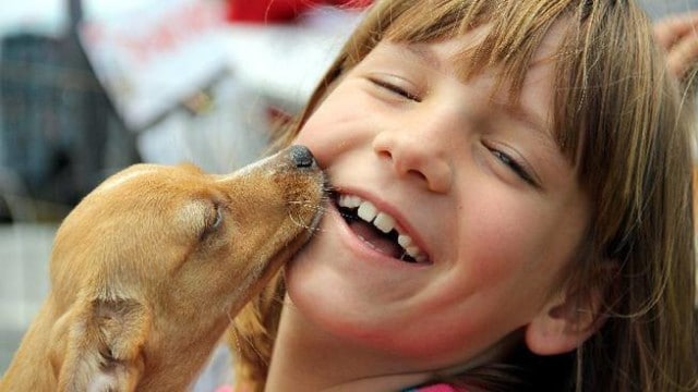 The Doggie Street Festival Highlights Adoption, Looks to Educate Children About Homeless Dogs