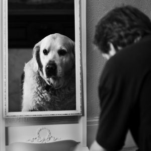 A man amazedly looking at his dog in a mirror.