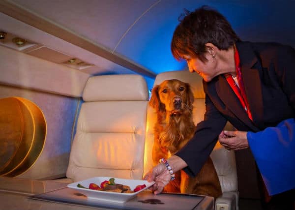 A woman serving food to a dog on a flying airplane.