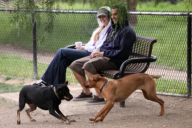 A man and woman sitting on a bench at Beverly Hills Dog Park.