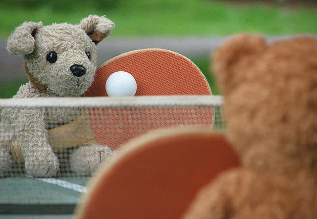 A teddy bear playing ping pong.