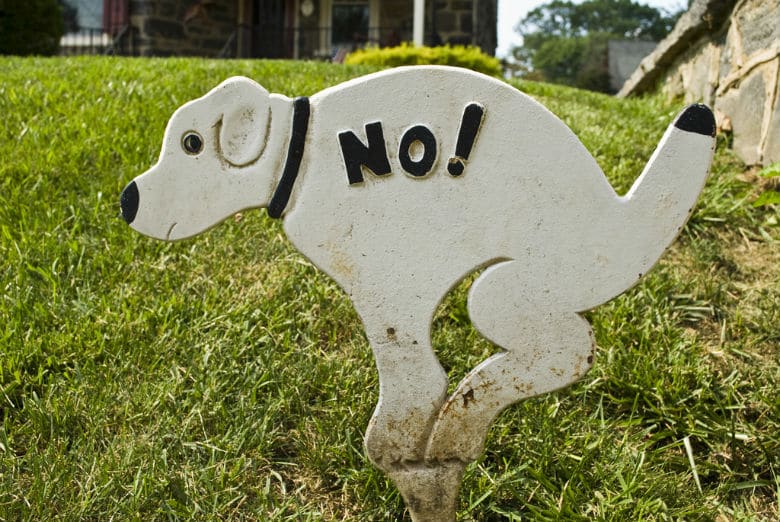 A scientific portrayal of a dog statue with a no sign in front of a house, highlighting reasons.