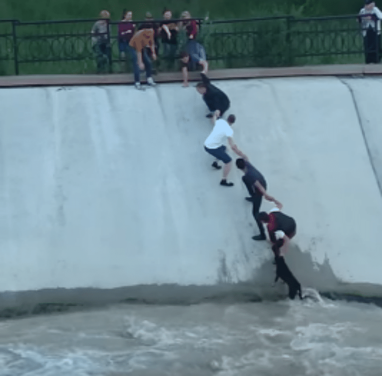 A group of people, forming a human chain, are climbing up the side of a wall to save a trapped dog.