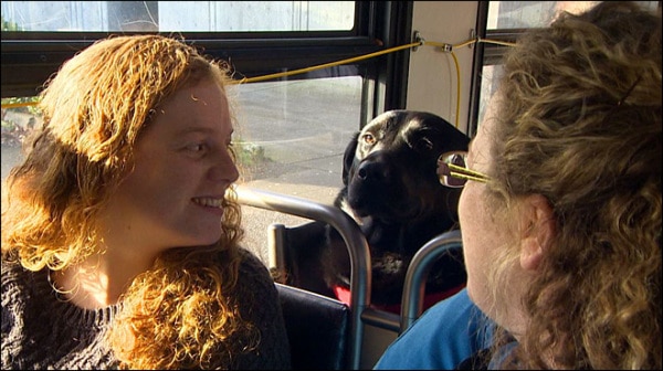 In a surprising turn of events, a dog takes the bus alongside a woman.