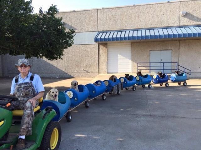 A man on a tractor with several dogs.