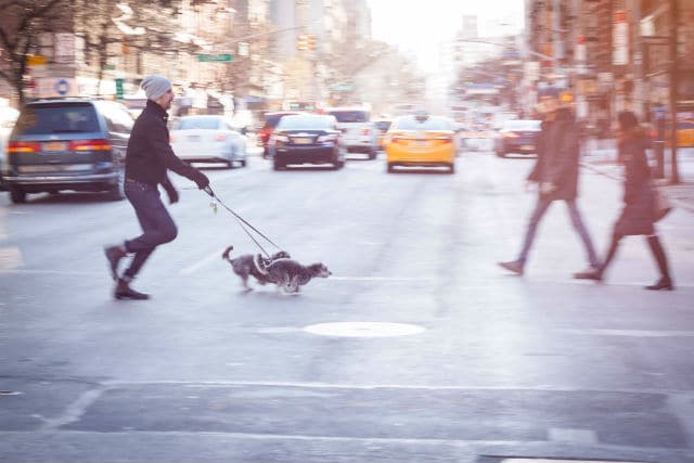 Two people walking a dog on a leash on a city street.