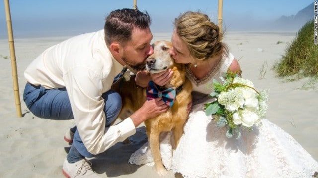 A terminally ill dog joins a bride and groom as they exchange a heartfelt kiss on the beach.