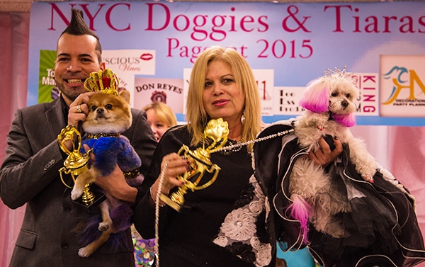 Pooches Go for the Gold in the 2015 NYC Doggies and Tiaras Pageant