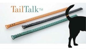 A dog is standing next to a tail talk gadget.
