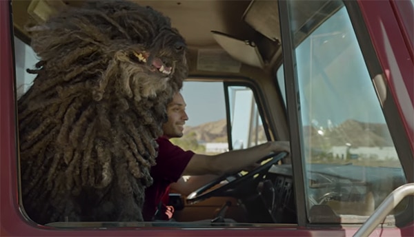 Dr. Pepper's Commercial Featuring a Puli Will Pull at Your Heartstring