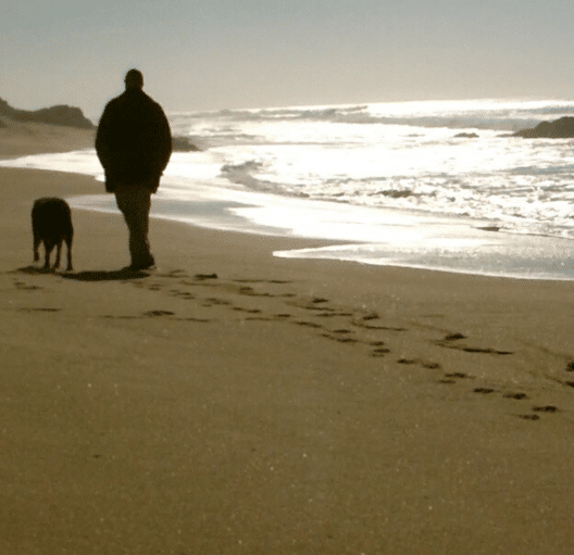 To Remember His Dog, Man Sends Tennis Balls All Over the World to Owners