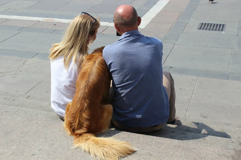 Facebook Study Reveals Dog People Have More Friends, More Likely to Be in Relationships Than Cat Owners