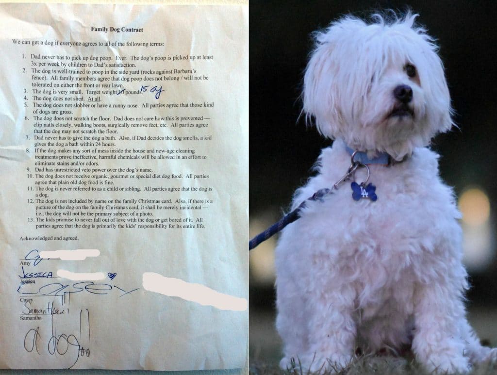 Dad Gives Okay for Dog, But Only After Kids Sign Intense Contract