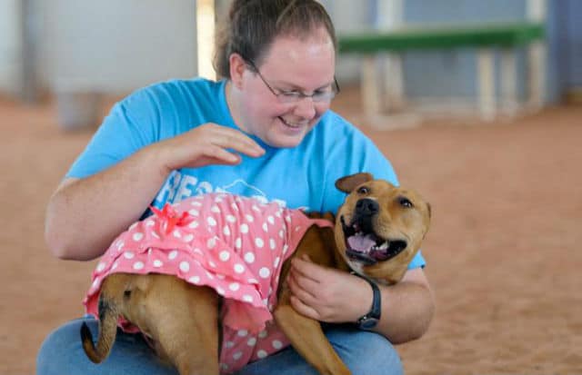 A man kneeling down with a dog in a pink dress, showcasing dogs wearing clothes.